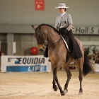 Iberian Dressage
