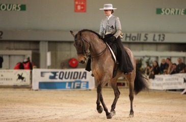 Iberian Dressage