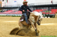 Reining - ©PSV Photos