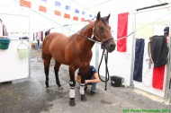 Reining's stables-Team France - ©PSV Photos