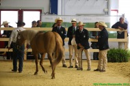 Reining - August 24th - ©PSV Photos