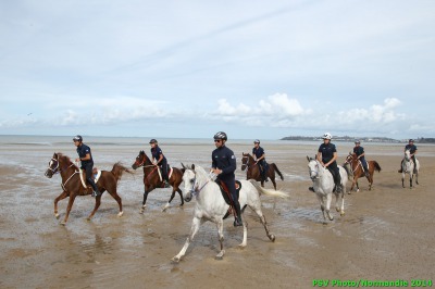 Endurance riders make final preparations