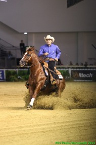 Reining - Team competition - August 25th - ©PSV Photos