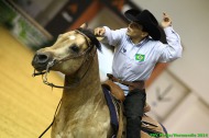 Reining - Gilson VIEIRA DINIZ FILHO - ©PSV Photos