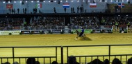 Reining - Day 1 - ©Sindy Thomas