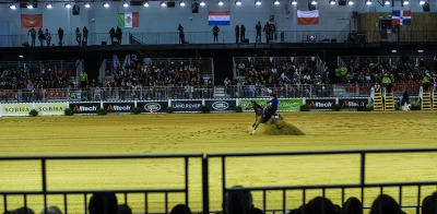 Reining:  The judging system