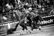 Reining - Monday 25 January - ©PSV Photos