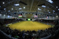 Exposition Centre - Reining - ©Sindy Thomas