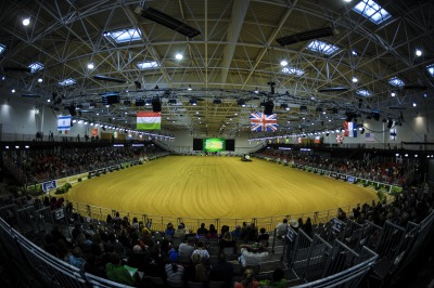 Reining:  The show is on as athletes prepare for the Individual Final