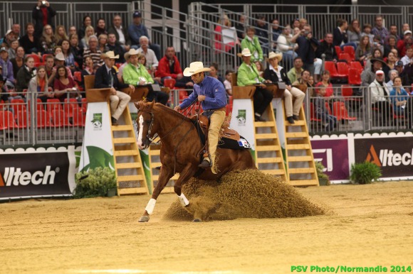 Reining:  Waiting for the Individual Finals