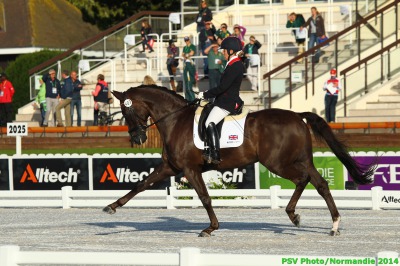 Brits Take the Top Spot in the Grade IV Competition.