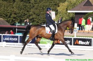 Para Dressage Grade III Individuel - August 27th - ©PSV Photos