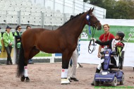 Para Dressage Grade III Individuel - August 27th - ©PSV Photos