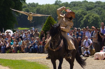 Falconry on horseback 