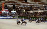 Horse Ball - August 27th - ©PSV Photos