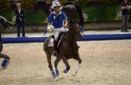 Horse Ball - August 27th - ©PSV Photos