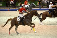 Horse Ball - August 27th - ©PSV Photos
