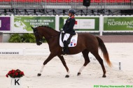 Para-dressage - Valérie SALLES - DIAMOND DU LOING - FRA - ©PSV Photos