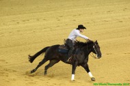 Reining - Stefano FERRI - ROOSTER NIC - ITA - ©PSV Photos