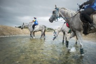 Endurance - ©Sindy Thomas