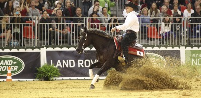 Reining:  Portrait of the day:  Rudi Kronsteiner