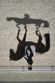 Dressage Grand Prix Freestyle - ©Sindy Thomas