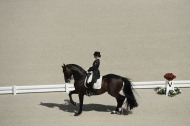Dressage Grand Prix Freestyle - ©Sindy Thomas