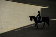 Dressage Grand Prix Freestyle - ©Sindy Thomas