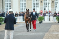 Maxime Livio and Qalao des Mers - ©PSV Photos