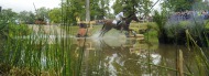 Cross country - August 30th - ©Sindy Thomas