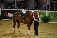 Reining - August 30th - ©PSV Photos