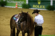 Reining - August 30th - ©PSV Photos