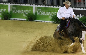 Reining