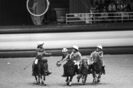 Shetland and Horse ball / 30 August 2014 - ©Sindy Thomas