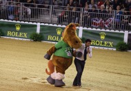 Norman at the Reining Final - ©Jean-Michel Pouteau