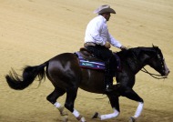 Reining Final - Exhibition Center Caen - ©Jean-Michel Pouteau