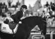 Para-dressage - August 29th - © Sindy Thomas