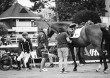 Para-dressage - August 29th - © Sindy Thomas