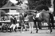 Para-dressage - August 29th - ©Sindy Thomas