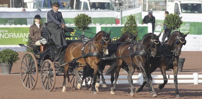 Dutch Chardon leads after first part of dressage