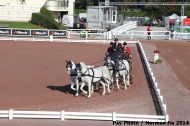 Driving - Dressage - Dick Lane - GBR - ©PSV Photos