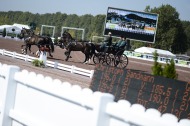 Driving - Dressage 04/09 - ©Sindy Thomas