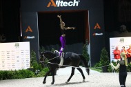 3 - Elisabeth BIERI - Rocky Xxxviii CH - STUMP - Vaulting  Women's final  - ©CO Normandie 2014/PSV