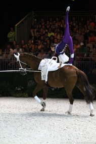 12 - Daniela FRITZ - Caramel - LEHRMANN - Vaulting  Women's final  - ©CO Normandie 2014/PSV