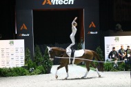 7 - Anna CAVALLARO - Harley - VIDONI - Vaulting  Women's final  - ©CO Normandie 2014/PSV