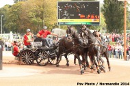 Driving - Marathon - ©PSV Photos
