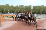 745 - Chester Weber - USA - ©CO Normandie 2014/PSV