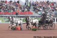 719 - Francois Vogel - FRA- Cones Driving  - ©CO Normandie 2014/PSV