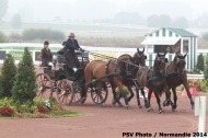 718 - Sebastien Vincent - FRA - Cones Driving  - ©CO Normandie 2014/PSV