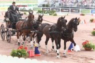 730 - Ijsbrand Chardon - NED- Cones Driving  - ©CO Normandie 2014/PSV